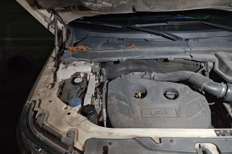 Used Land Rover Freelander 2 2014 2.0T Si4 SE Gasoline Version Engine Bay Right