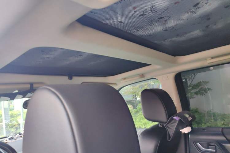 Used Land Rover Freelander 2 2014 2.0T Si4 SE Gasoline Version Headliner