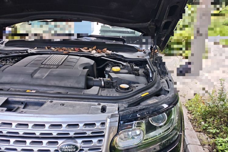 Used Land Rover Range 2013 5.0 SC V8 AB Prestige Genesis Edition Engine Bay Left