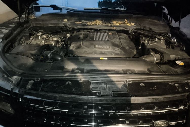 Used Land Rover Range 2013 3.0 TDV6 Vogue Engine Bay
