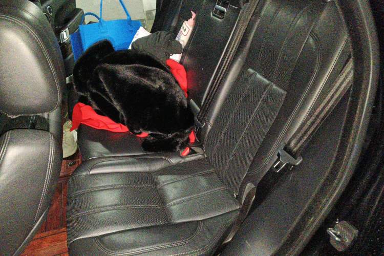 Used Land Rover Range 2015 3.0 SC V6 Vogue Left Rear Seat