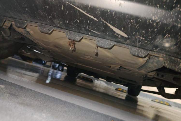 Used Land Rover Range  Chassis Front