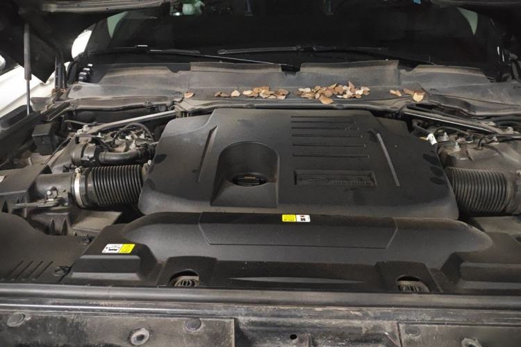 Used Land Rover Range 2020 3.0 L6 Long-Wheelbase Legacy Engine Bay