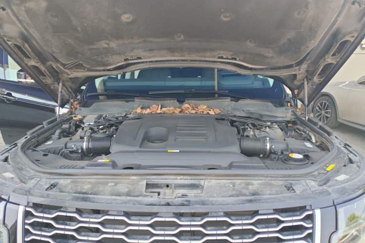 Used Land Rover Range 2020 3.0 L6 Long-Wheelbase Legacy Engine Bay