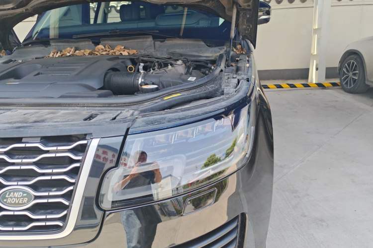 Used Land Rover Range 2020 3.0 L6 Long-Wheelbase Legacy Engine Bay Left