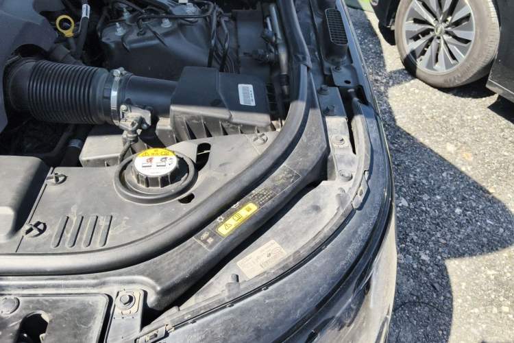 Used Land Rover Range 2020 3.0 L6 Long-Wheelbase Legacy Engine Bay Left
