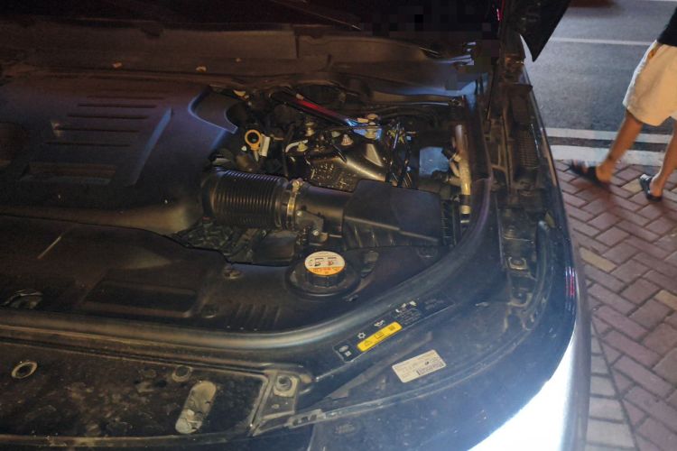 Used Land Rover Range 2020 3.0 L6 Long-Wheelbase Legacy Engine Bay Left