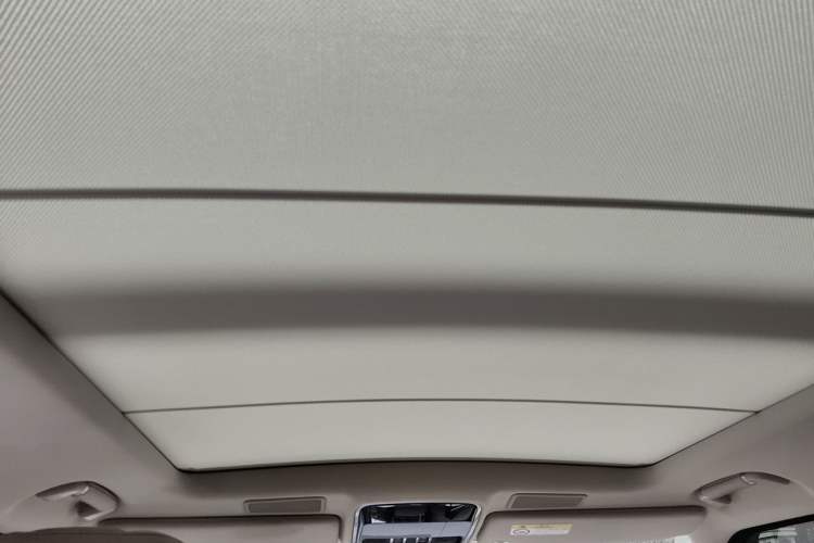Used Land Rover Range 2020 3.0 L6 Long-Wheelbase Legacy Headliner