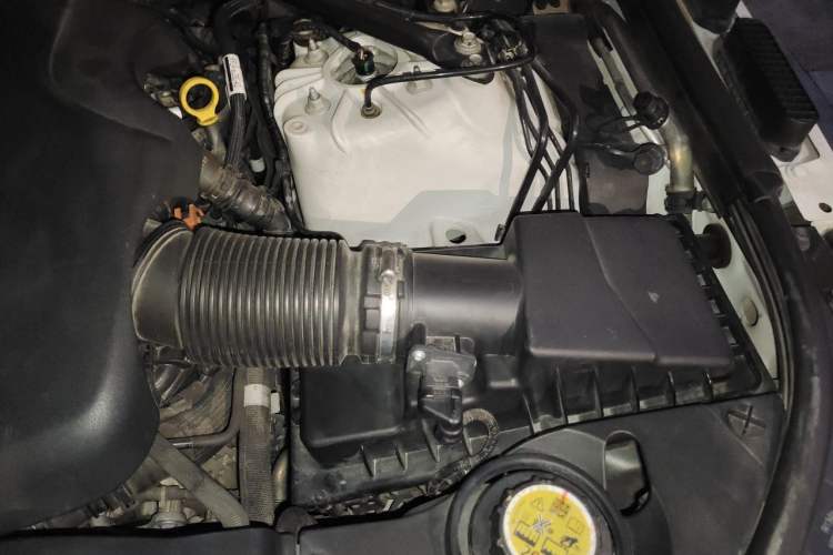 Used Land Rover Range 2020 3.0 L6 Long-Wheelbase Legacy Engine Bay Left