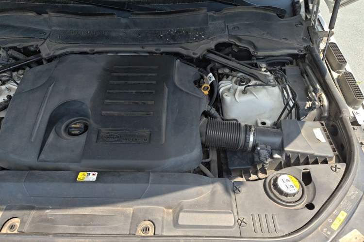 Used Land Rover Range 2020 3.0 L6 Long-Wheelbase Legacy Engine Bay Left