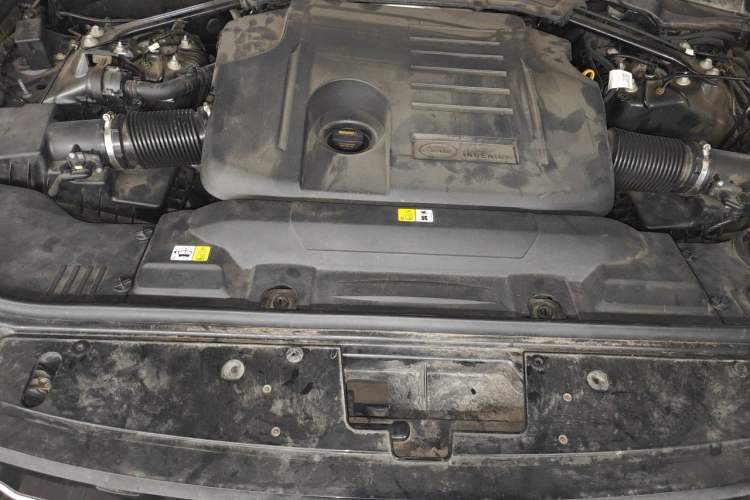 Used Land Rover Range 2021 3.0 L6 Century Extended Classic Edition Engine Bay