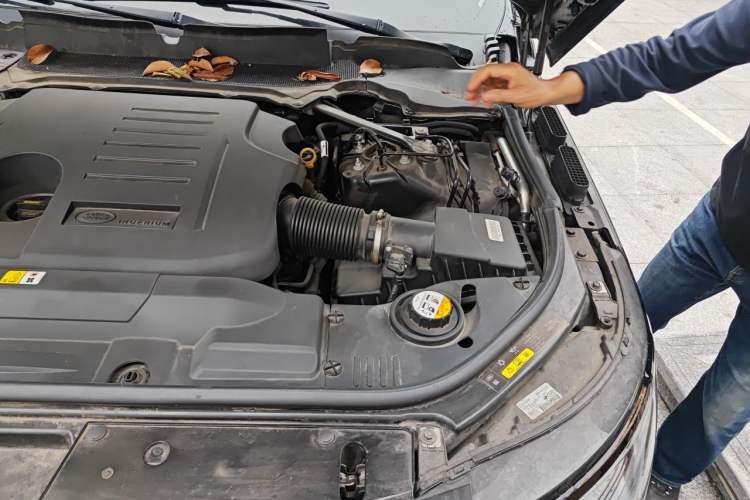 Used Land Rover Range 2021 3.0 L6 Century Extended Classic Edition Engine Bay Left