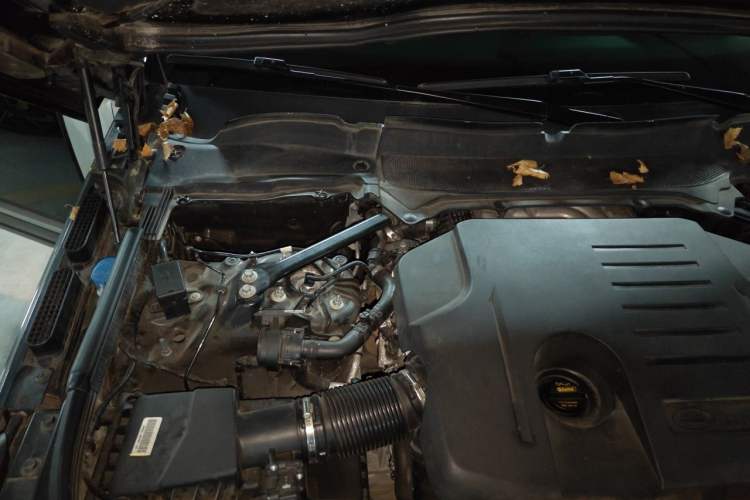 Used Land Rover Range 2021 3.0 L6 Centennial Edition Engine Bay Right