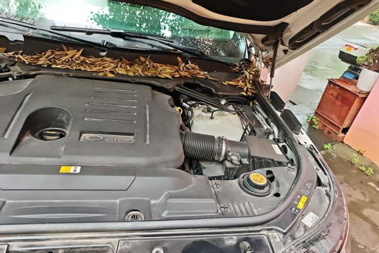 Used Land Rover Range 2021 3.0 L6 Century Extended Classic Edition Engine Bay Left