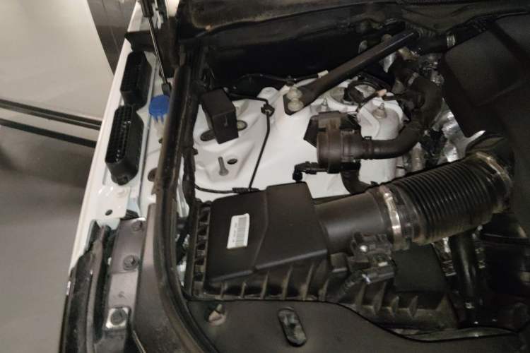 Used Land Rover Range 2021 3.0 L6 Century Extended Classic Edition Engine Bay Right