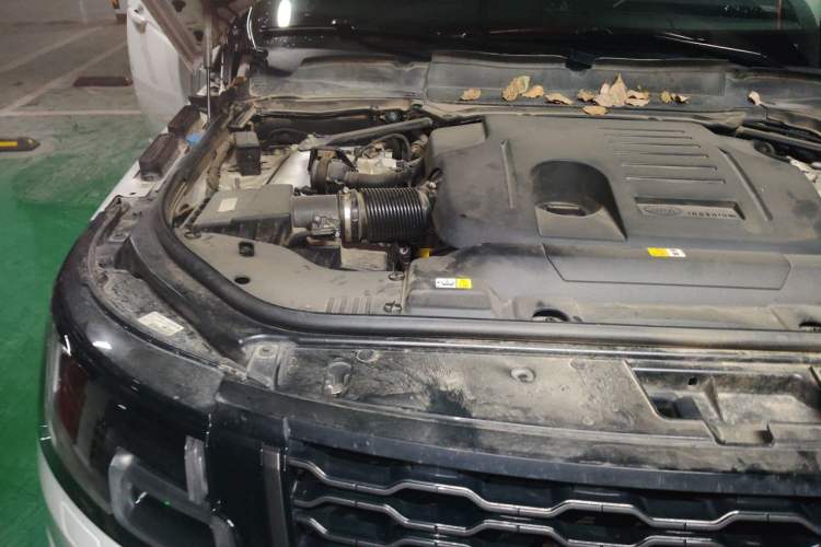 Used Land Rover Range 2021 3.0 L6 Grand Edition Engine Bay Right