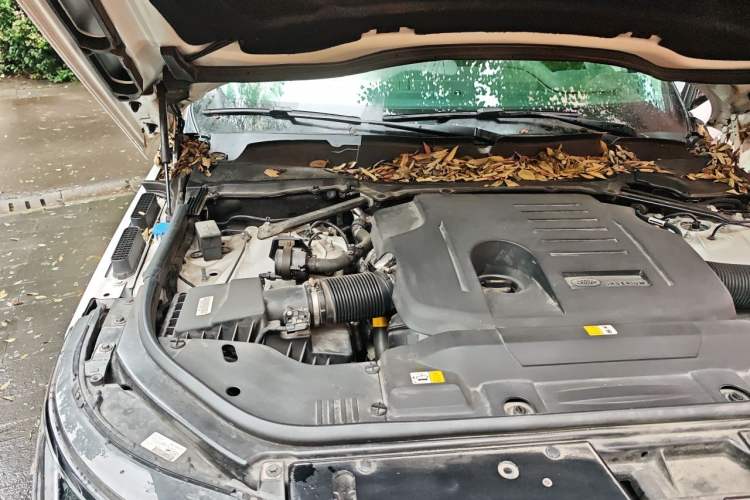 Used Land Rover Range 2021 3.0 L6 Century Extended Classic Edition Engine Bay Right