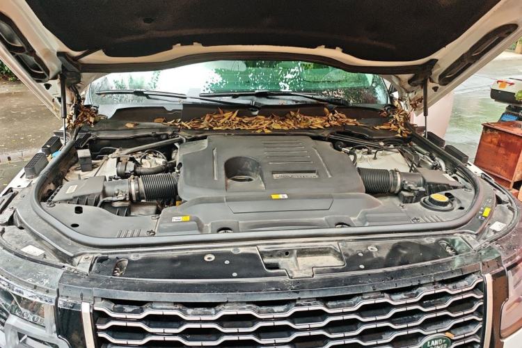 Used Land Rover Range 2021 3.0 L6 Century Extended Classic Edition Engine Bay