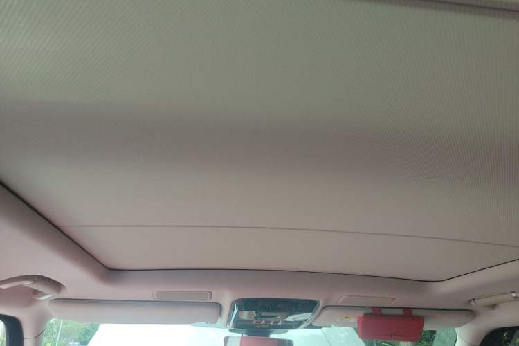 Used Land Rover Range 2021 3.0 L6 Century Extended Classic Edition Headliner