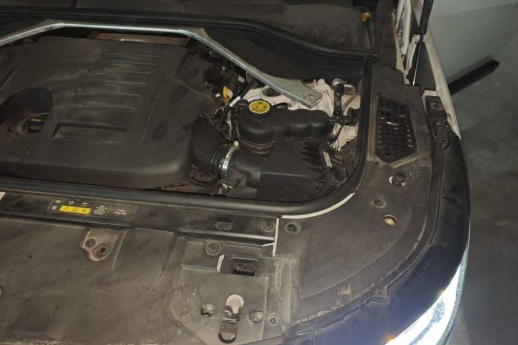Used Land Rover Range 2023 3.0 L6 400 PS Prestige Seven-Seater Extended Version Engine Bay Left