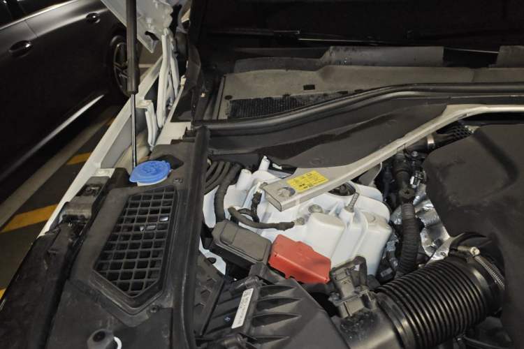 Used Land Rover Range 2023 3.0 L6 360 PS Grand Edition Engine Bay Right