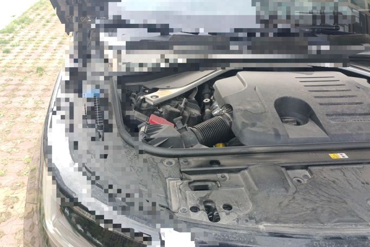 Used Land Rover Range 2024 3.0 L6 400 PS Extended Version Engine Bay Right