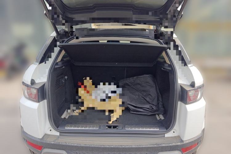 Used Land Rover Range Evoque 2012 2.0T 5-Door Ignite Edition Trunk