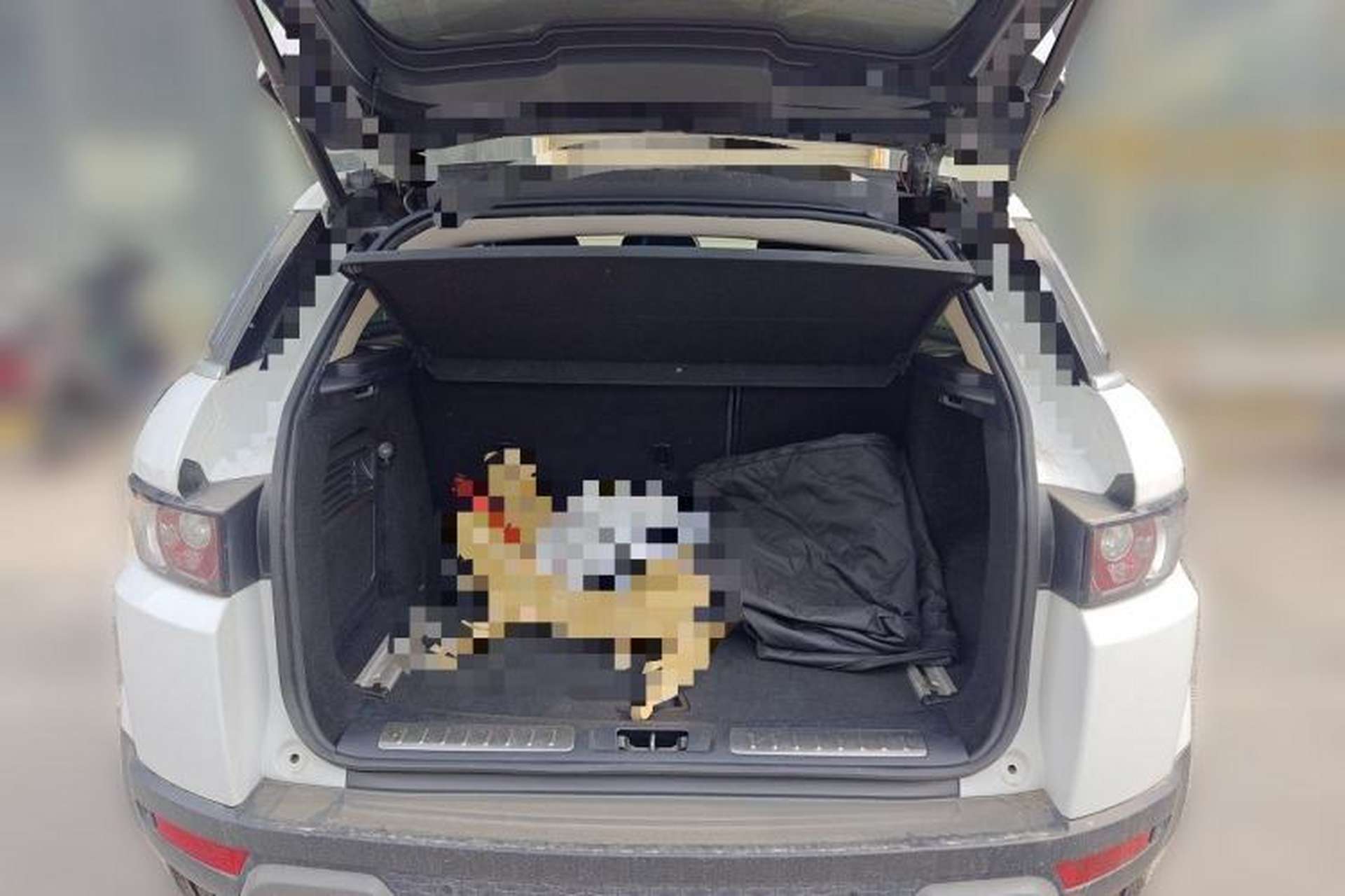 Used Land Rover Range Evoque 2012 2.0T 5-Door Ignite Edition Trunk