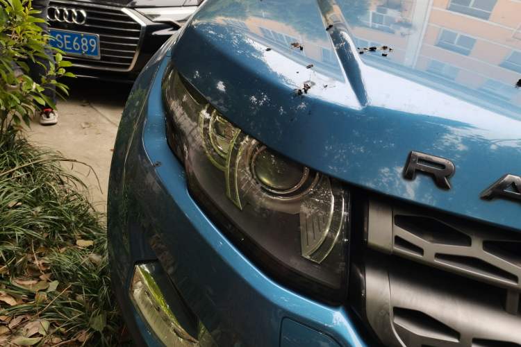 Used Land Rover Range Evoque 2013 2.0T 5-Door Yaozhen Edition Right Front Headlight