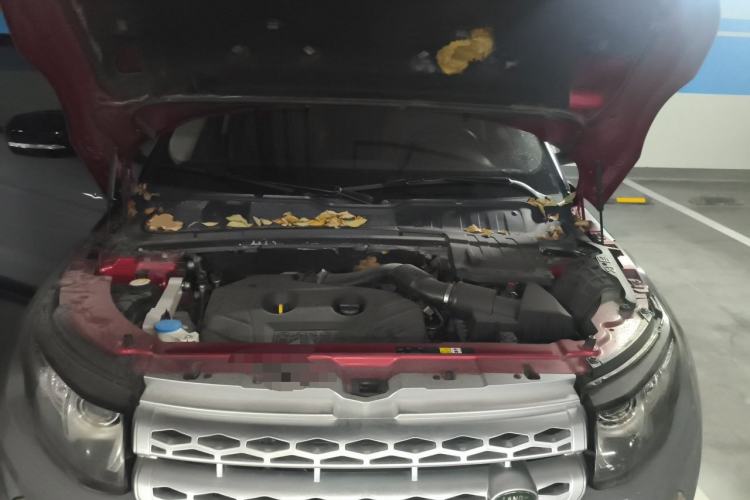 Used Land Rover Range Evoque 2013 2.0T 5-Door YAOZHI Edition Engine Bay