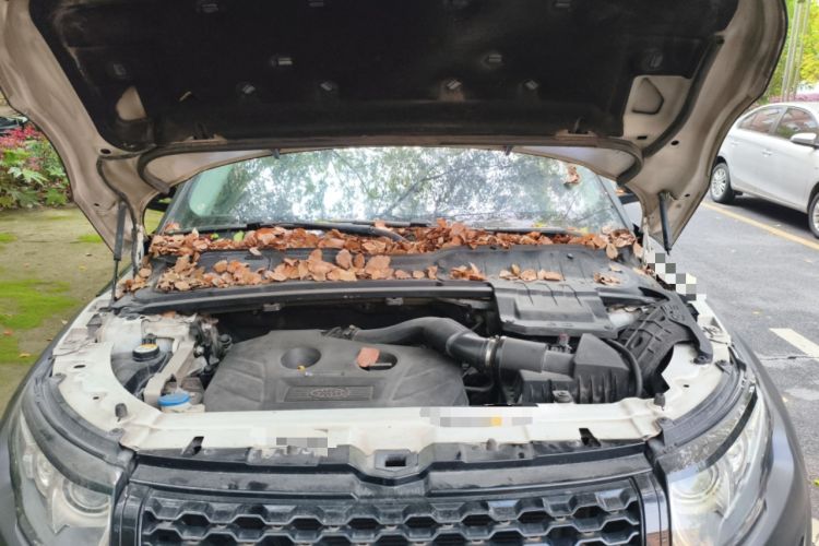 Used Land Rover Range Evoque 2014 2.0T 5-Door Ignite Edition Engine Bay