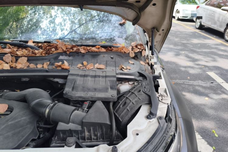 Used Land Rover Range Evoque 2014 2.0T 5-Door Ignite Edition Engine Bay Left