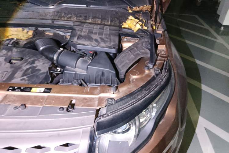 Used Land Rover Range Evoque 2014 2.0T 5-Door Luxury Edition Engine Bay Left