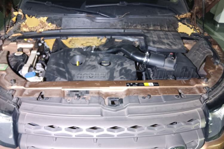 Used Land Rover Range Evoque 2014 2.0T 5-Door Luxury Edition Engine Bay