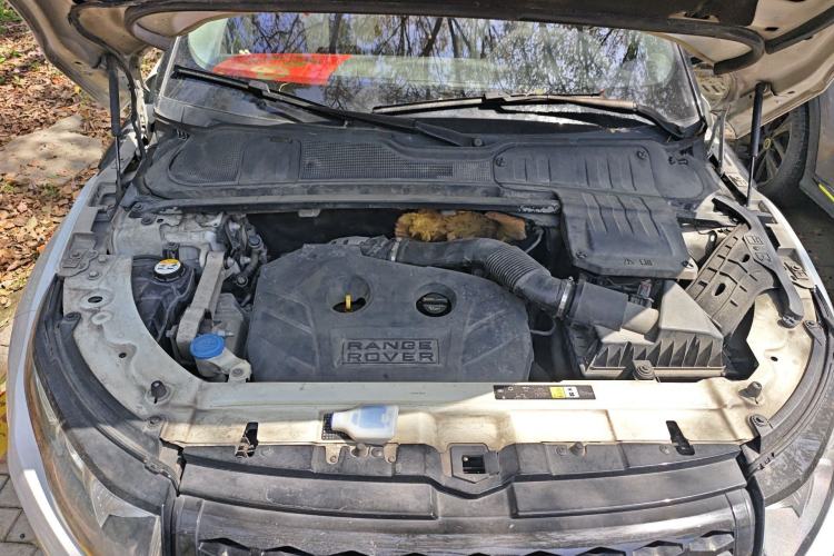 Used Land Rover Range Evoque 2014 2.0T 5-Door Ignite Edition Engine Bay