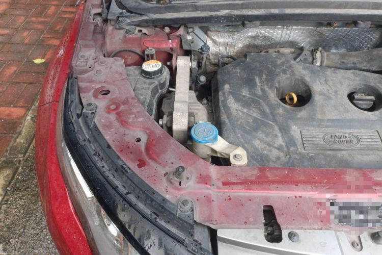 Used Land Rover Range Evoque 2014 2.0T 5-Door Luxury Edition Engine Bay Right