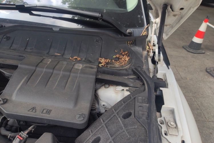 Used Land Rover Range Evoque 2014 2.0T 5-Door Ignite Edition Engine Bay Left