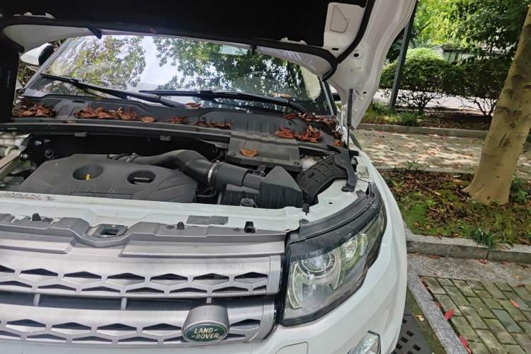 Used Land Rover Range Evoque 2014 2.0T 5-Door YAOZHEN Edition Engine Bay Left