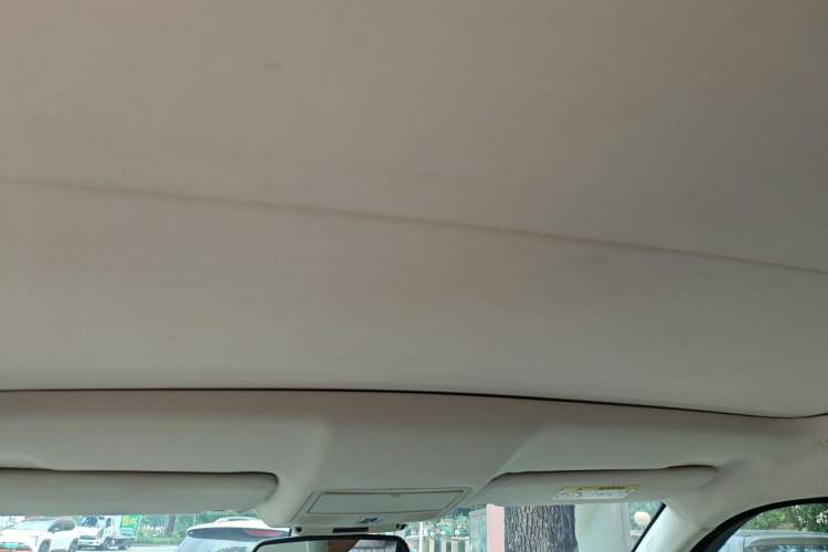 Used Land Rover Range Evoque 2014 2.0T 5-Door Luxury Edition Headliner
