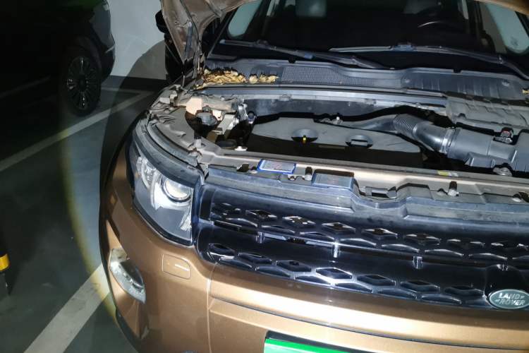 Used Land Rover Range Evoque 2014 2.0T 5-Door Ignite Edition Engine Bay Right