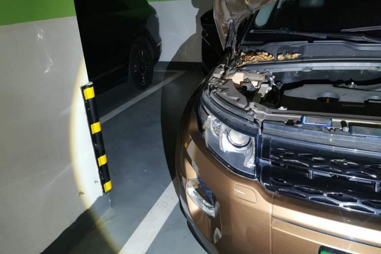 Used Land Rover Range Evoque 2014 2.0T 5-Door Ignite Edition Right Front Headlight