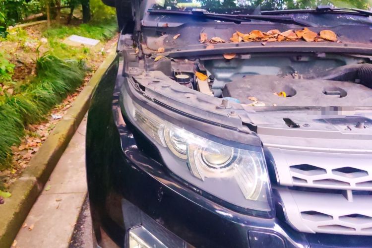 Used Land Rover Range Evoque 2015 2.0T Five-Door Zhiyao Edition Engine Bay Right