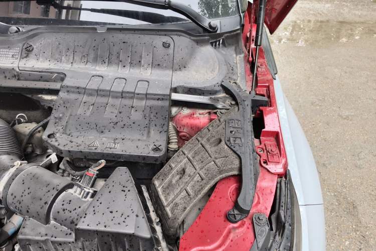 Used Land Rover Range Evoque 2015 2.0T Five-Door Zhiyao Edition Engine Bay Left
