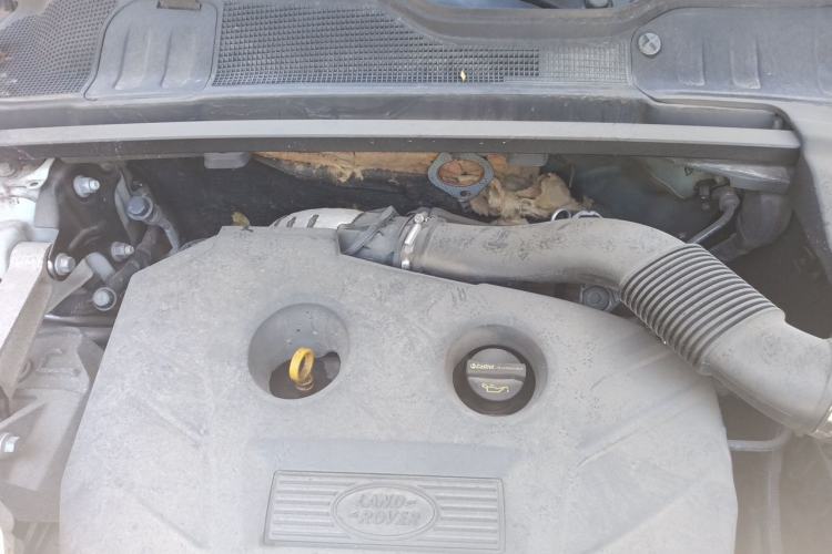 Used Land Rover Range Evoque 2015 2.0T 5-Door Ignite Edition Engine Bay