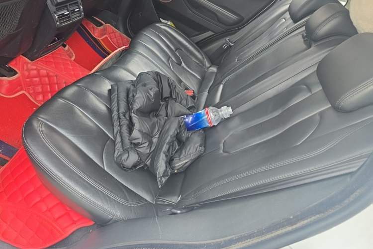 Used Land Rover Range Evoque 2015 2.0T Five-Door Zhiyao Edition Left Rear Seat