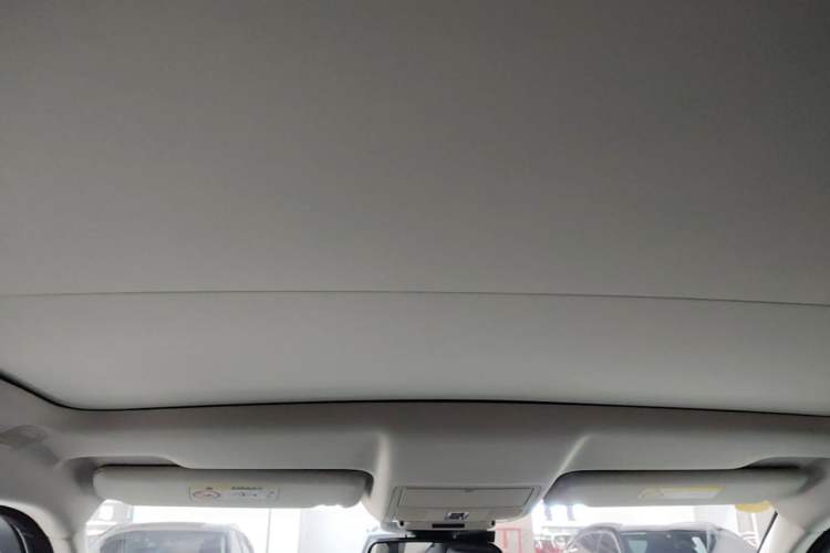 Used Land Rover Range Evoque 2016 2.0T SE Smart Glow Edition Headliner