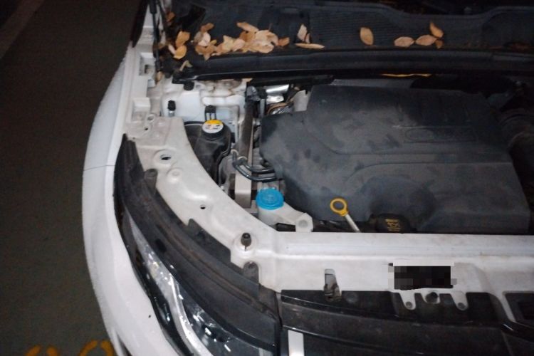 Used Land Rover Range Evoque 2018 240 PS SE DYNAMIC Smart Edition Engine Bay Right