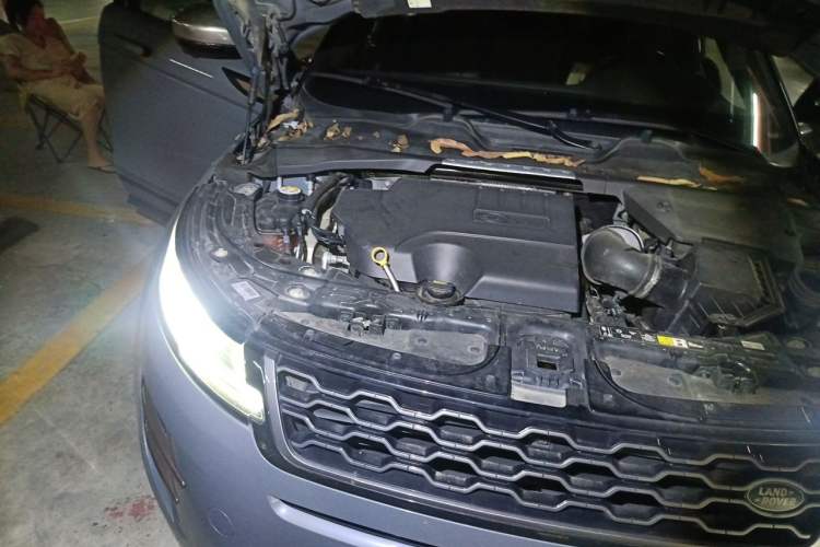 Used Land Rover Range Evoque 2020 249 PS R-DYNAMIC SE Sport Technology Edition Engine Bay Right