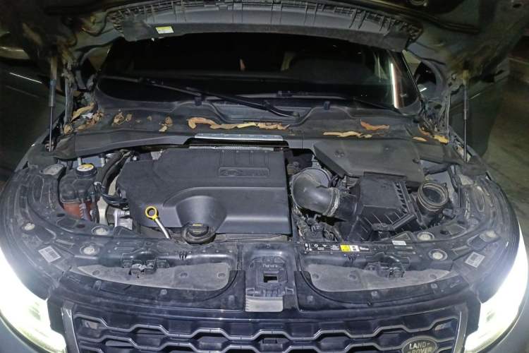 Used Land Rover Range Evoque 2020 249 PS R-DYNAMIC SE Sport Technology Edition Engine Bay