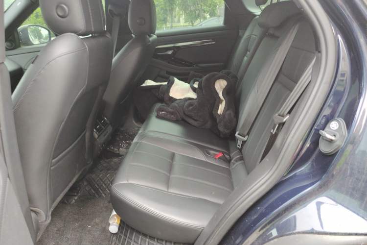 Used Land Rover Range Evoque 2020 249 PS R-DYNAMIC S Sport Edition Left Rear Seat